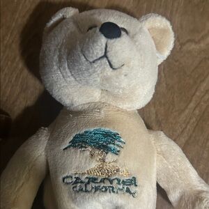 Carmel Valley, teddy bear Plush Tan
